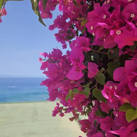 Playa La Arena With Ocean View * Puerto de Santiago (Tenerife)